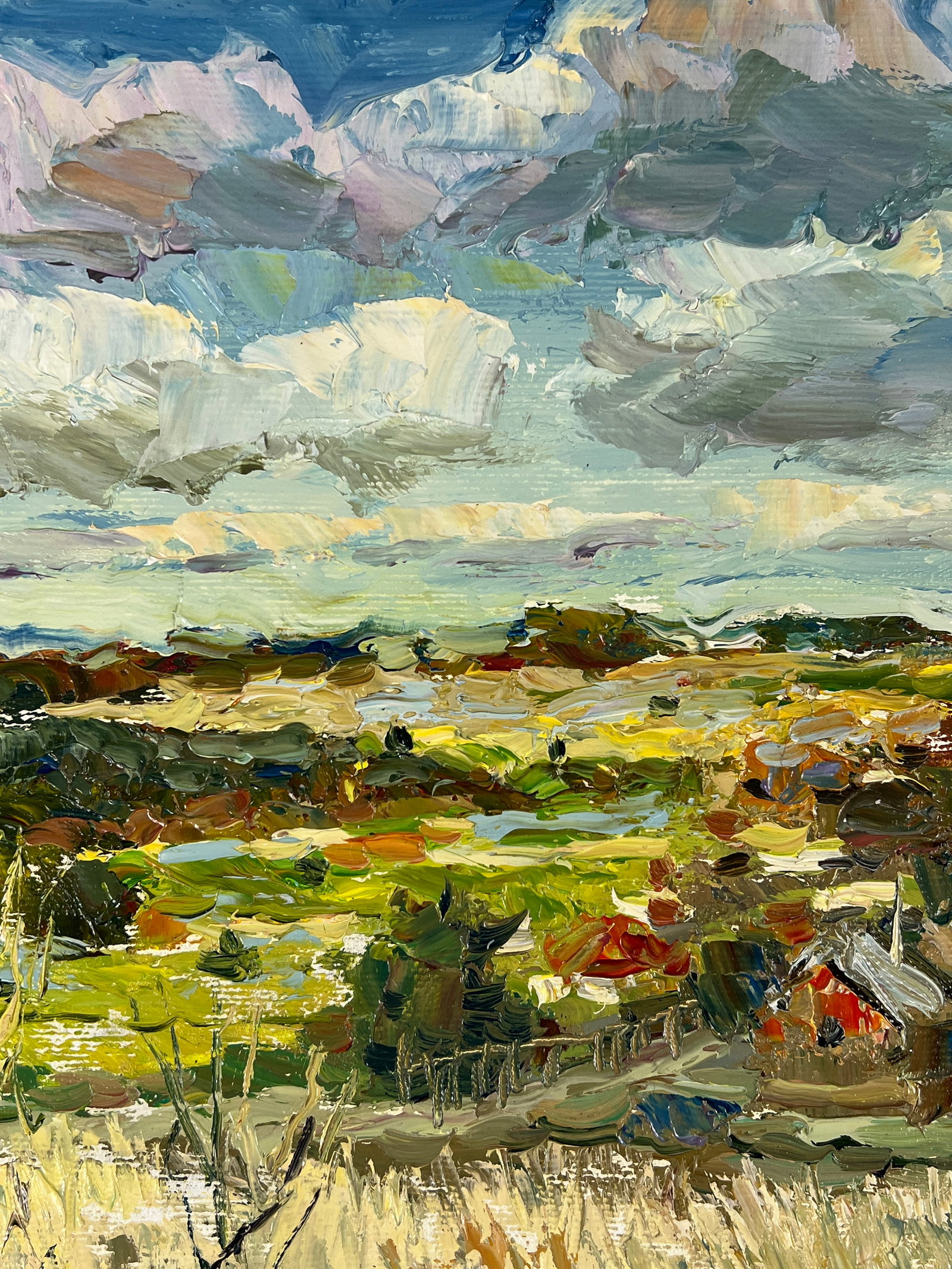 Oil painting Cloudy Sergey Ivanovich Animov - 4