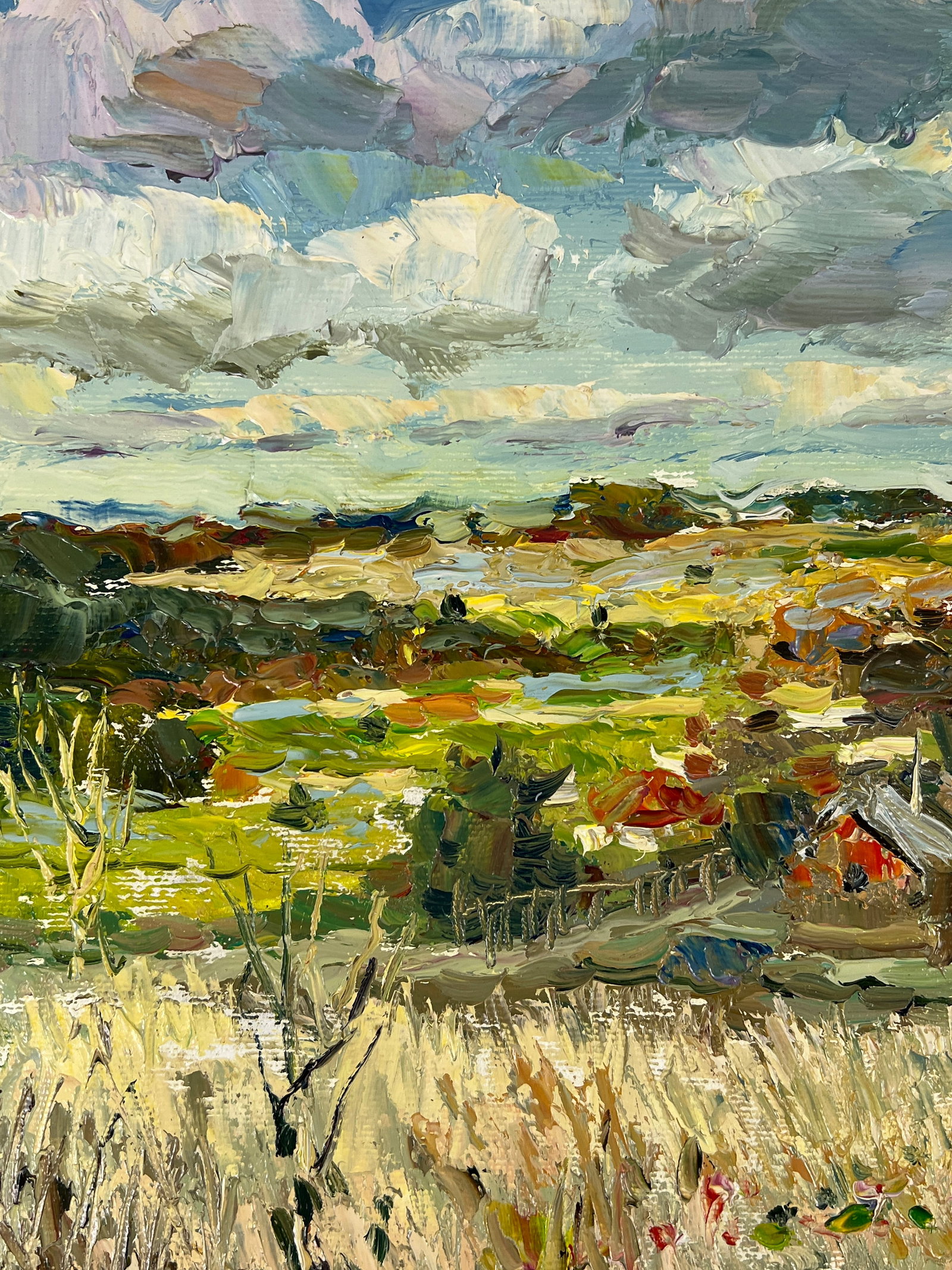 Oil painting Cloudy Sergey Ivanovich Animov - 5