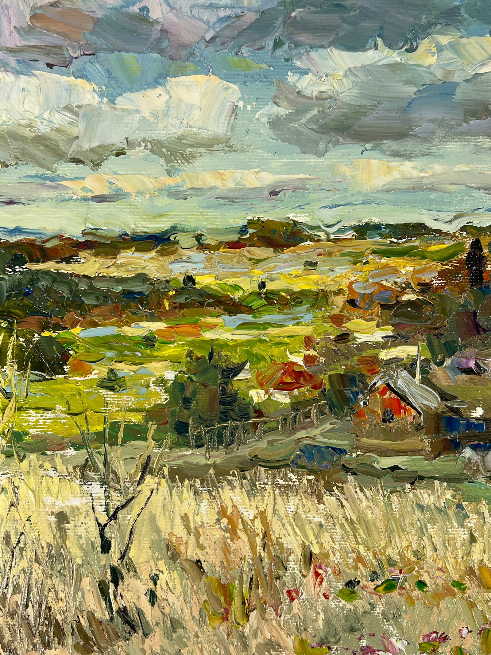 Oil painting Cloudy Sergey Ivanovich Animov - 6