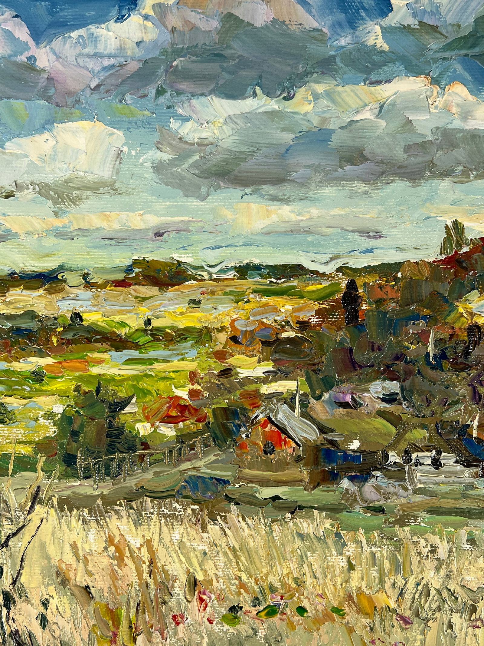 Oil painting Cloudy Sergey Ivanovich Animov - 7