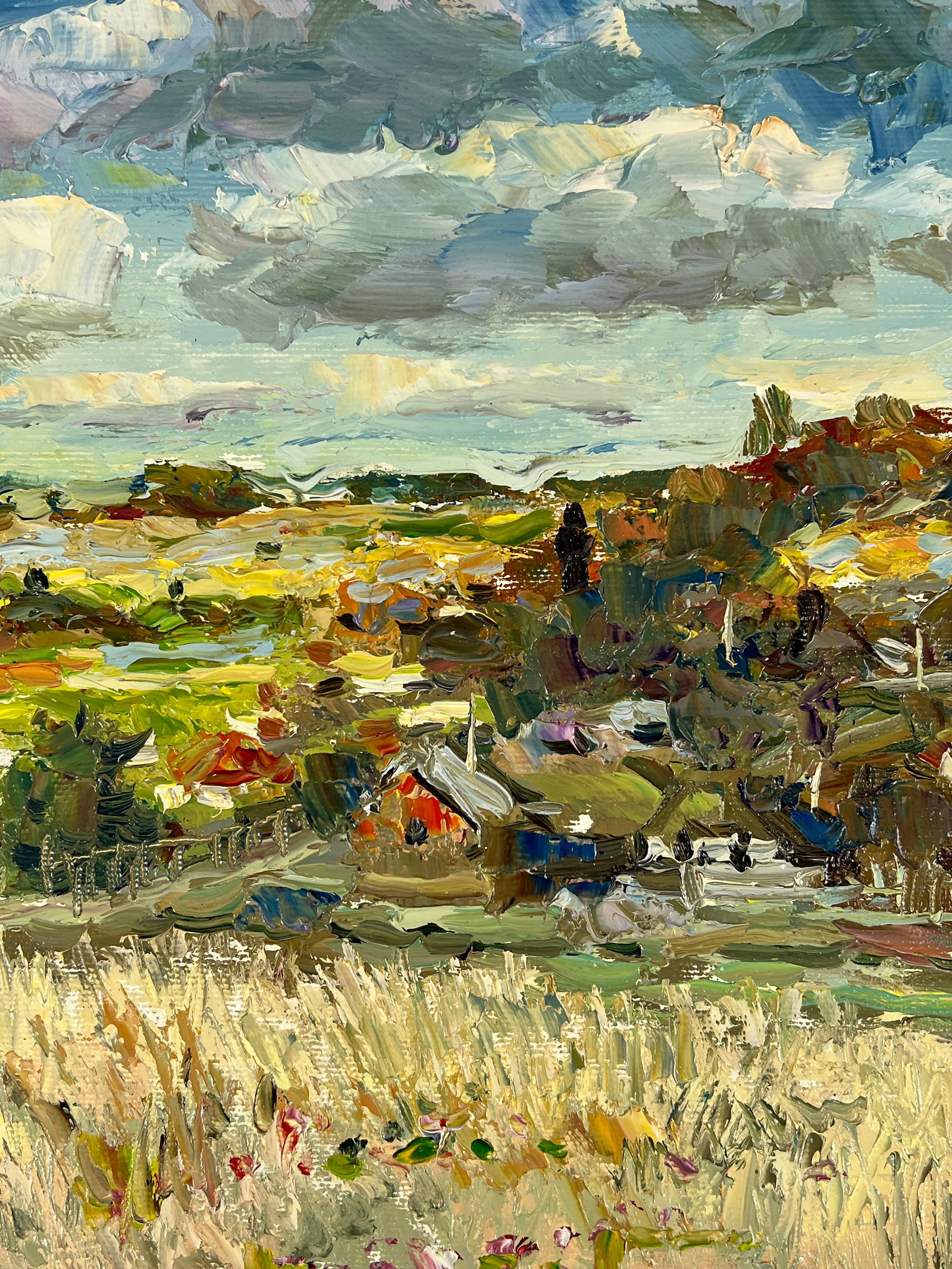 Oil painting Cloudy Sergey Ivanovich Animov - 8
