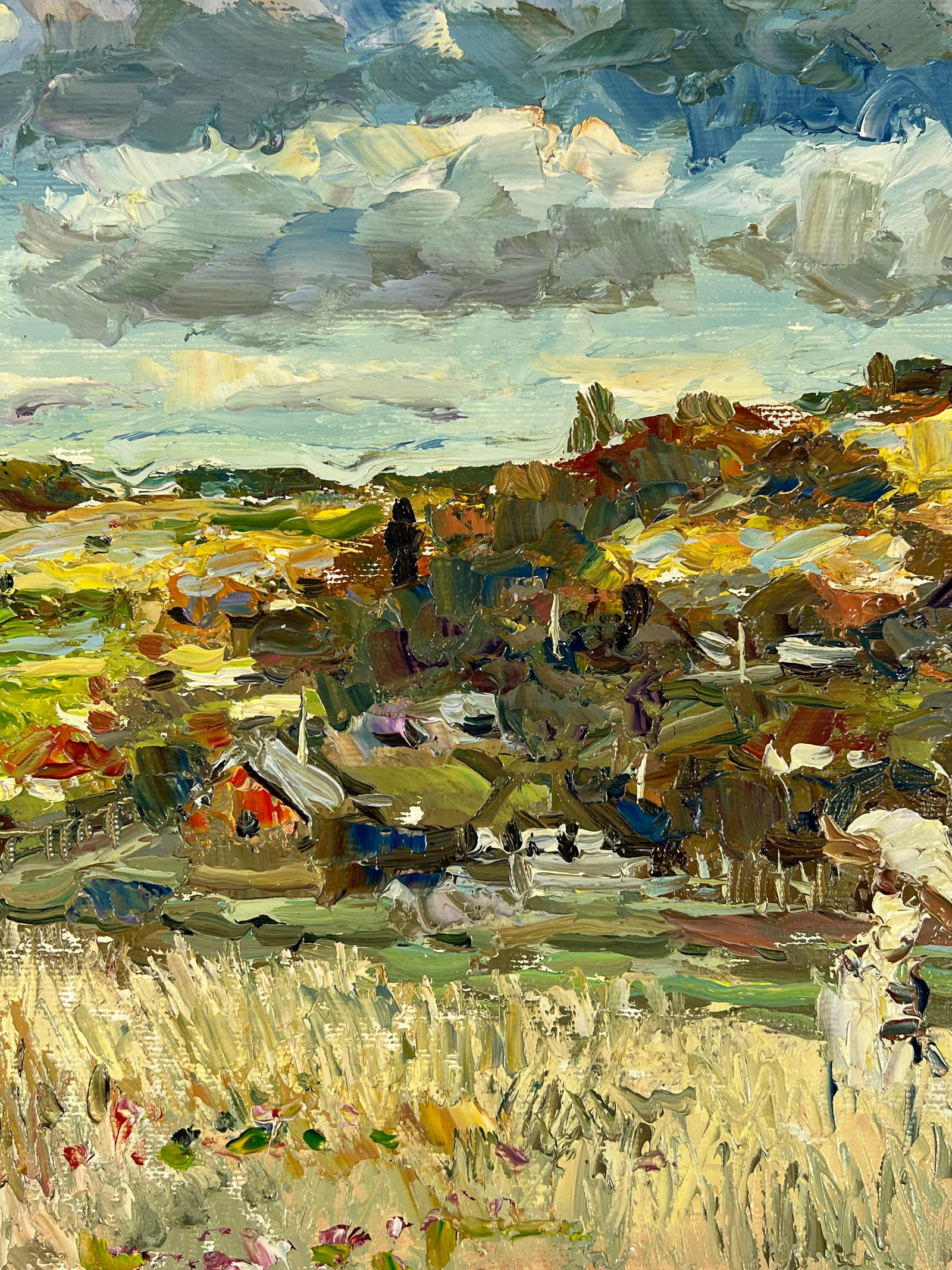 Oil painting Cloudy Sergey Ivanovich Animov - 9