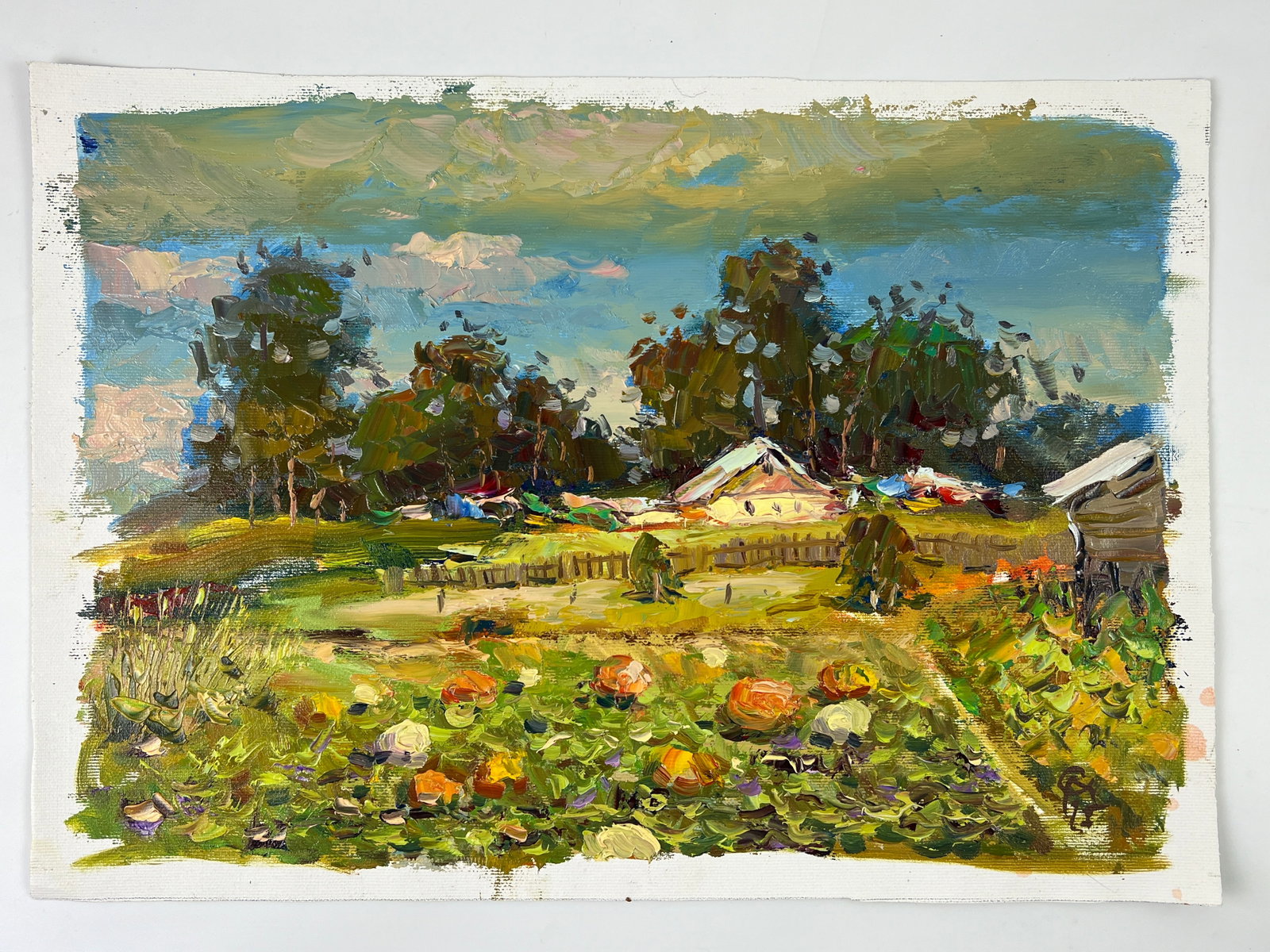Oil painting Pumpkin field Sergey Ivanovich Animov: Title: Oil painting Pumpkin field Sergey Ivanovich Animov Description: 427DDD Painter: Sergey Ivanovich Animov S?ze: 26x38 cm/ 10.23x14.96 inches Components: canvas, oil Original painting from our