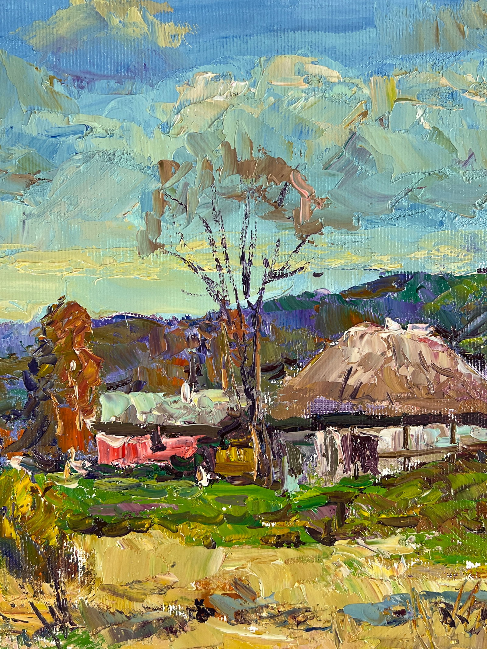 Oil painting Village Sergey Ivanovich Animov - 3