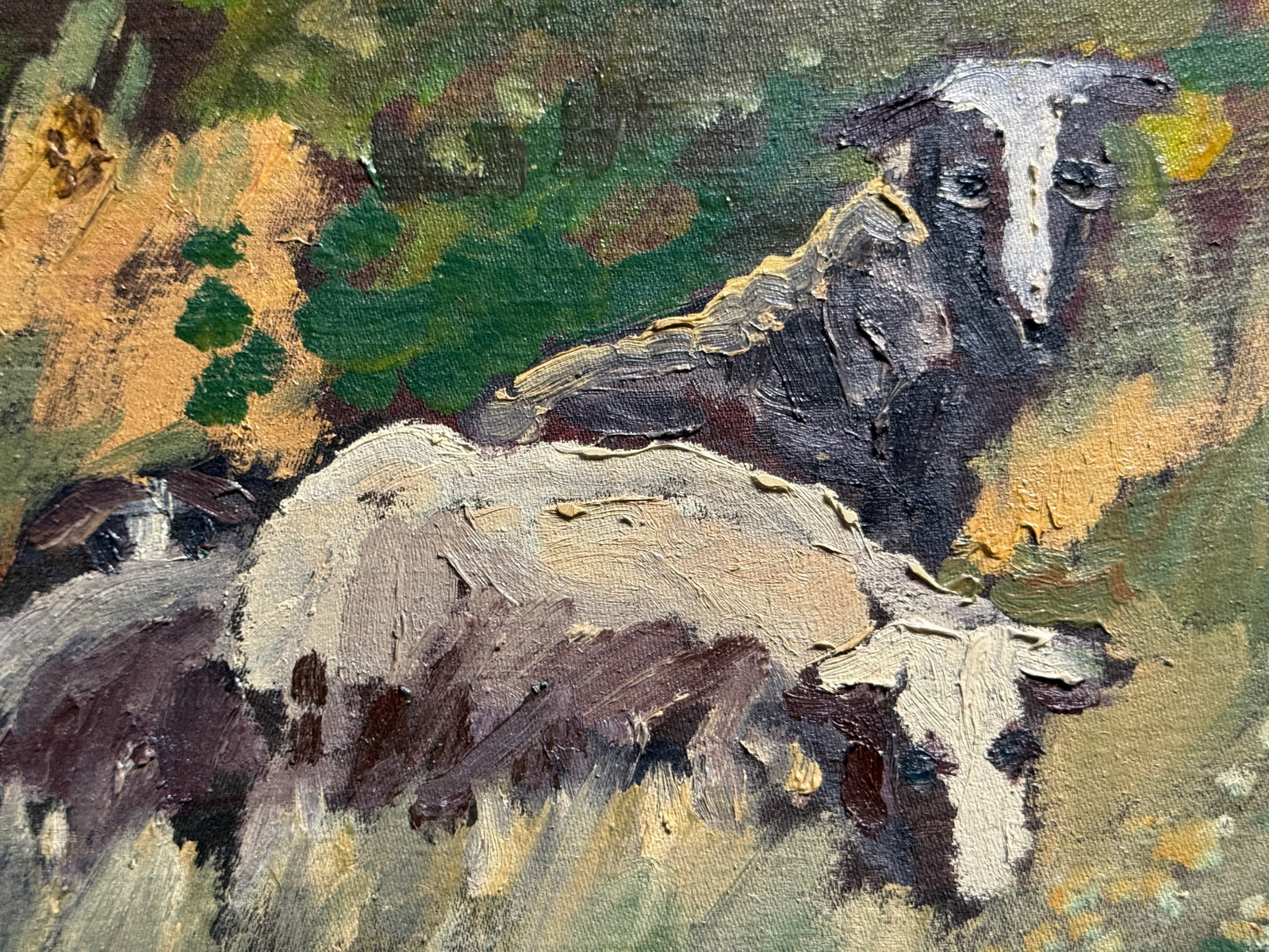 Oil painting with frame sheep K. Leonid - 11