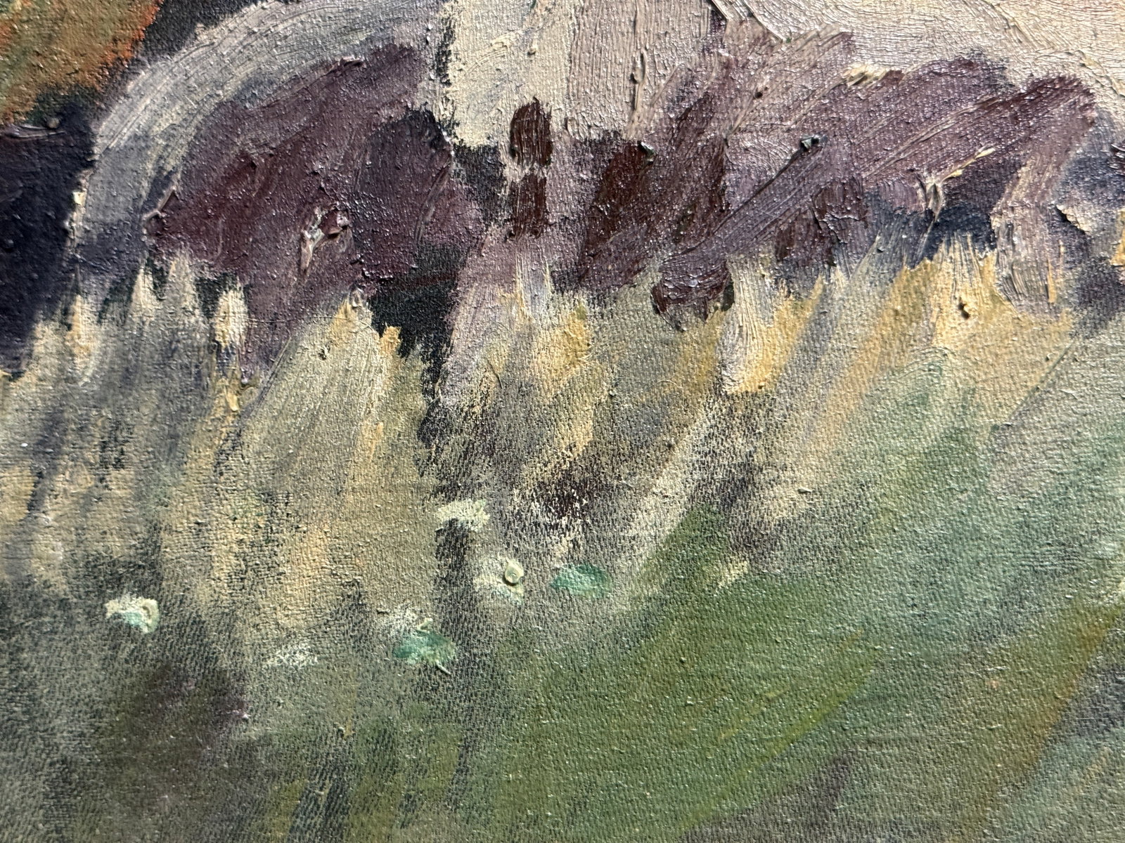 Oil painting with frame sheep K. Leonid - 4