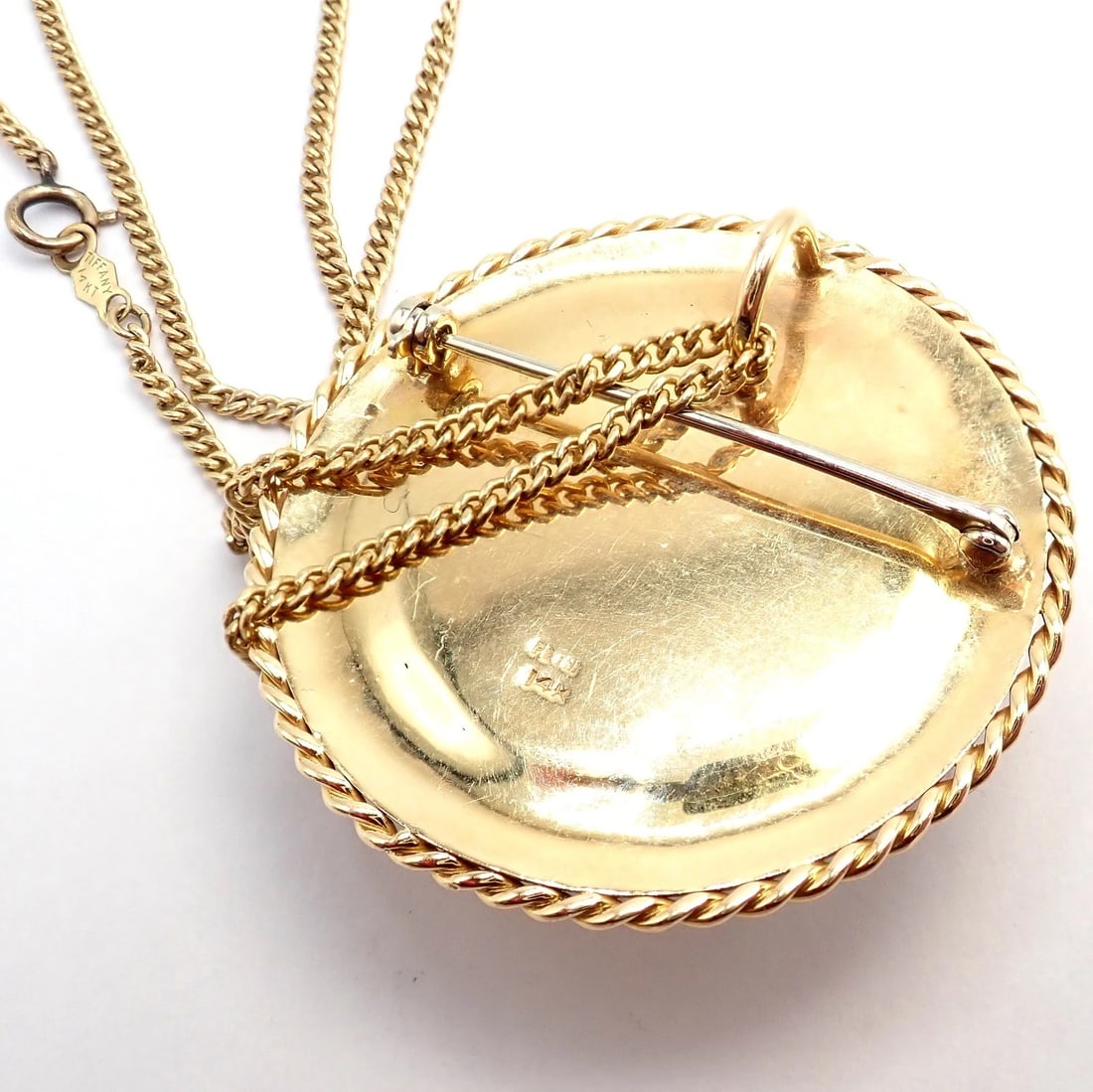 Vintage! Tiffany 14k Yellow Gold Essex Reverse Intaglio Dog Necklace Brooch - 9