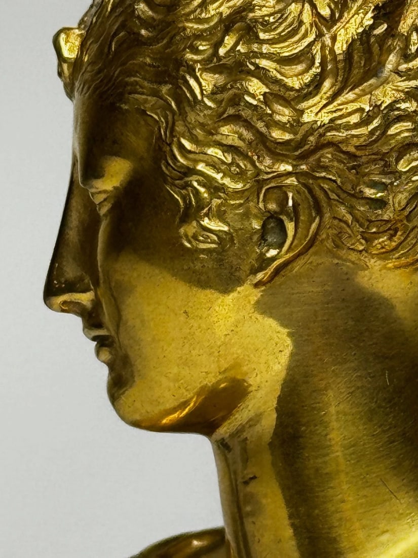 Parisian Bronze Bust of Marie Antoinette In the Manner of Mathurin Moreau c1880 - 20