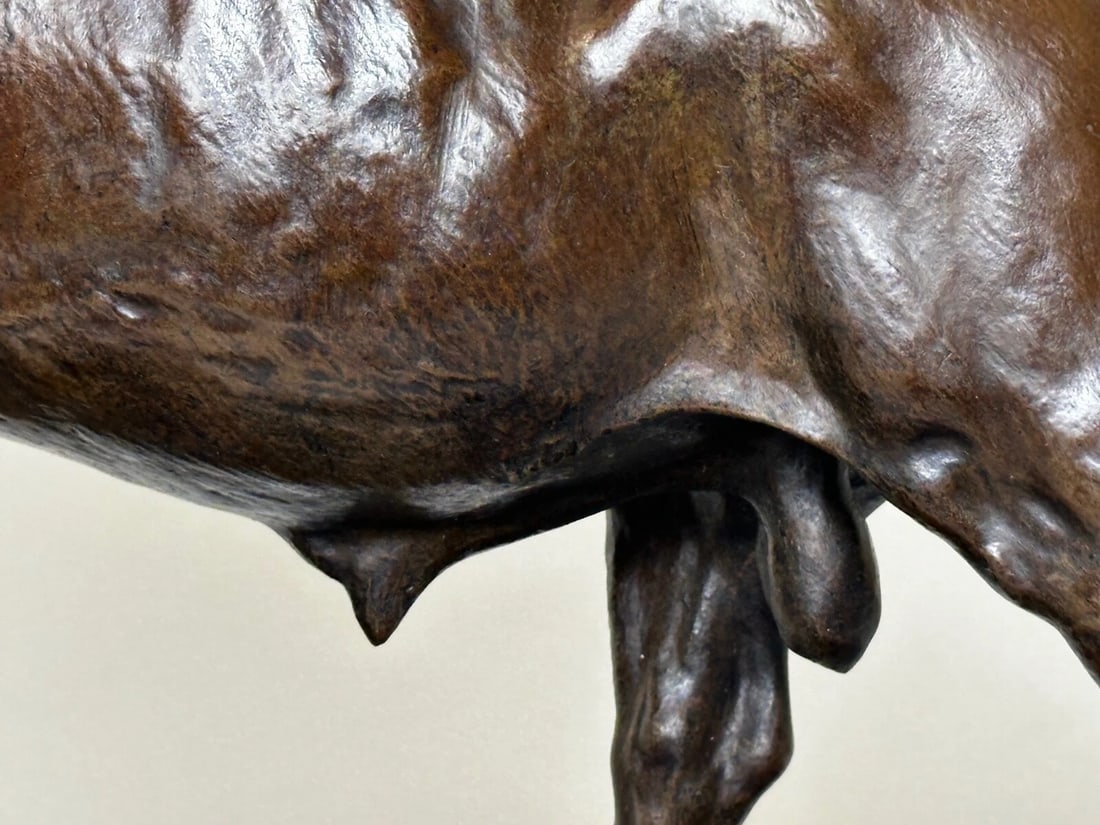 Majestic Antique French Bronze Standing Prized Bull by Isidore Jules Bonheur - 10
