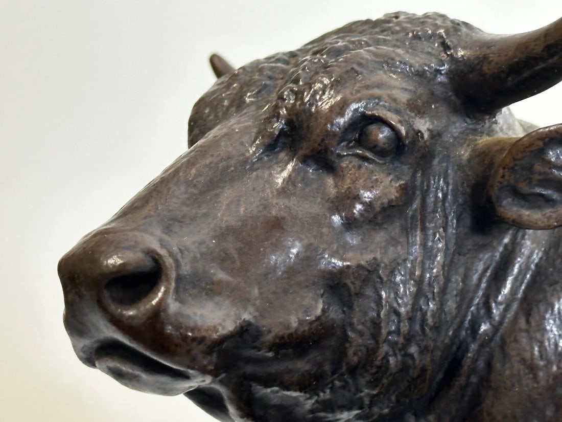 Majestic Antique French Bronze Standing Prized Bull by Isidore Jules Bonheur - 13