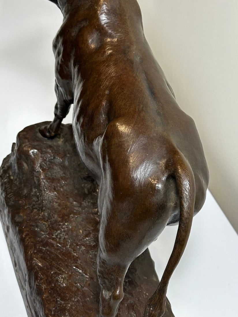Majestic Antique French Bronze Standing Prized Bull by Isidore Jules Bonheur - 17