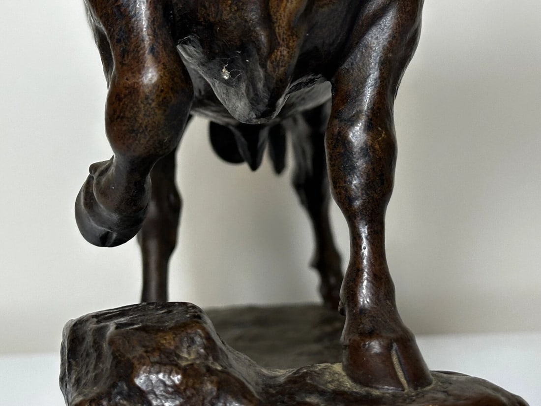 Majestic Antique French Bronze Standing Prized Bull by Isidore Jules Bonheur - 20