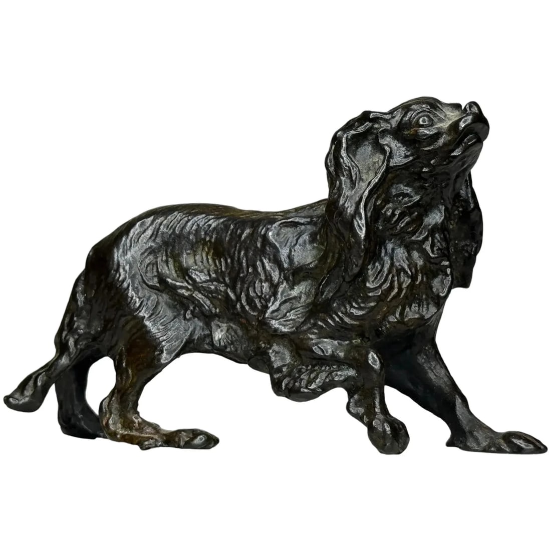 Austrian Bronze Long Haired Dachshund In the Manner of Franz Xaver Bergman: Antique Austrian Bronze Dachshund Sculpture In The Manner of Franz Xaver Bergman Description Antique Austrian Bronze Dachshund Sculpture– In the Manner of Franz Xaver Bergman – c.1900 A fi