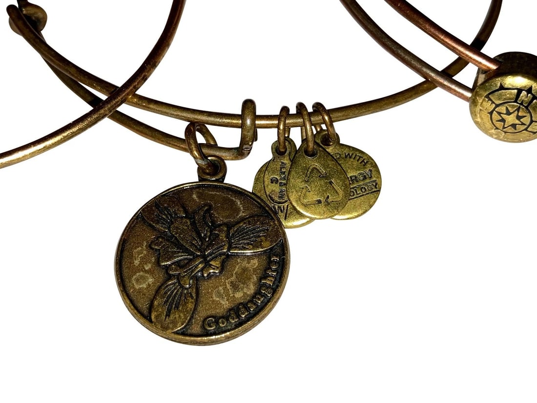 Alex and Ani Goddaughter Flower Compass and Charms Bracelets (1 of 6)