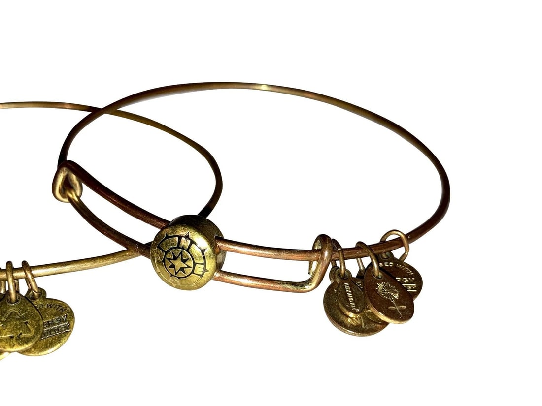 Alex and Ani Goddaughter Flower Compass and Charms Bracelets - 3