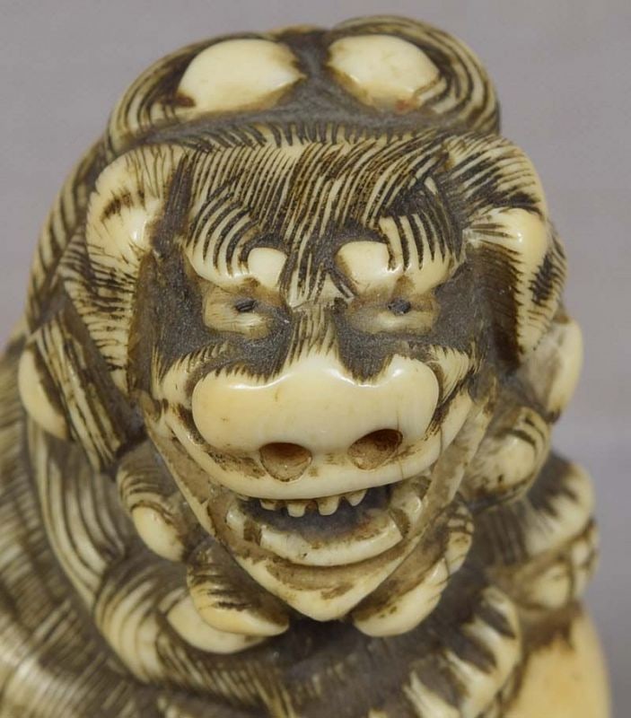 18c netsuke SHISHI with ball - 2