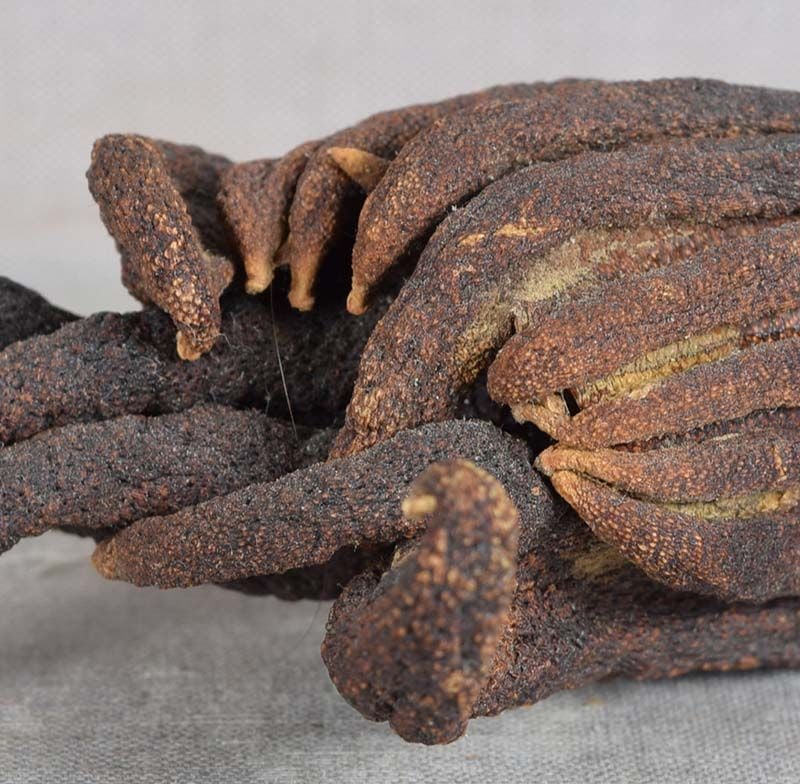 19c Chinese scholar’s Buddha’s hand citron - 6