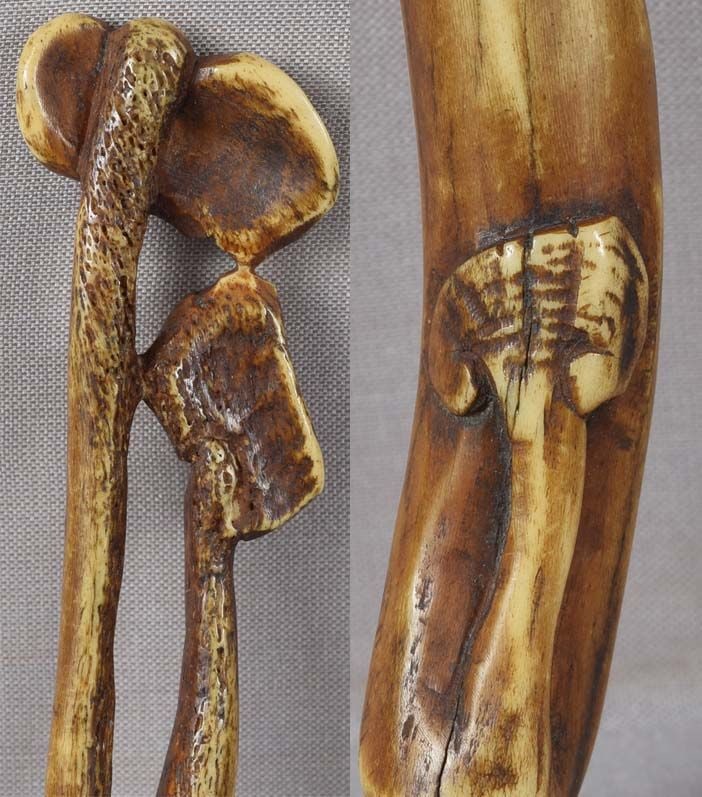 19c staghorn Asakusa sashi netsuke FUNGUS of IMMORTALITY - 4