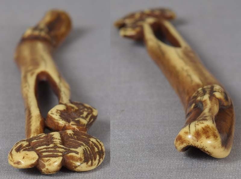 19c staghorn Asakusa sashi netsuke FUNGUS of IMMORTALITY - 6