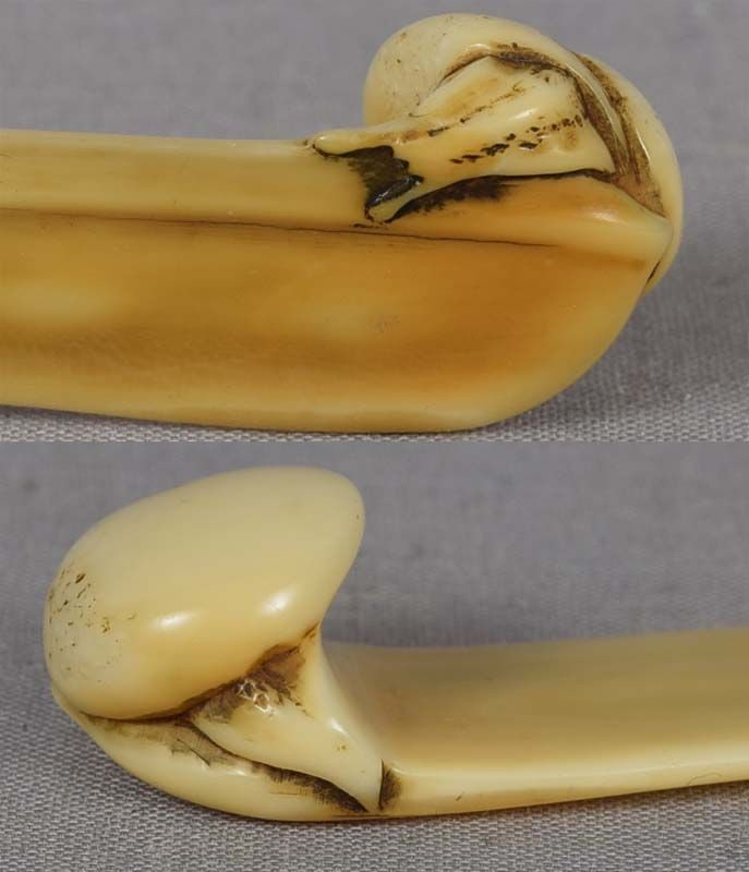 19c marine OBIHASAMI netsuke SNAIL & gourd - 2