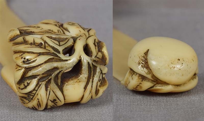 19c marine OBIHASAMI netsuke SNAIL & gourd - 4