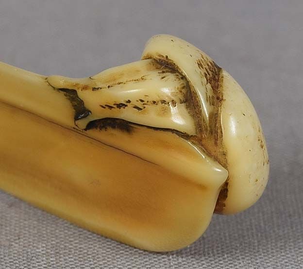 19c marine OBIHASAMI netsuke SNAIL & gourd - 5