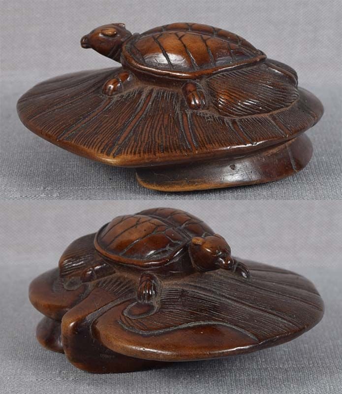 18c netsuke MINOGAME TURTLE on water lily - 4