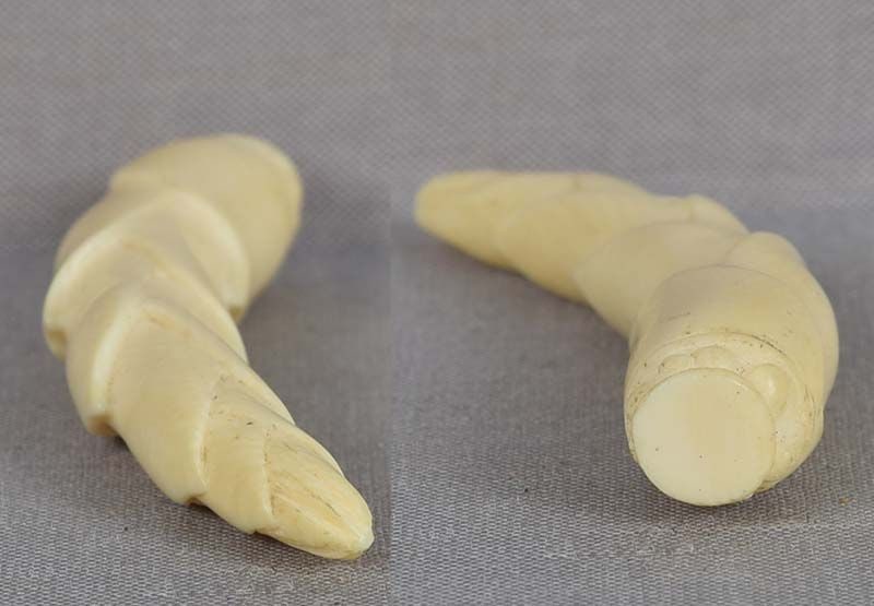 Late Meiji netsuke BAMBOO SHOOT - 4