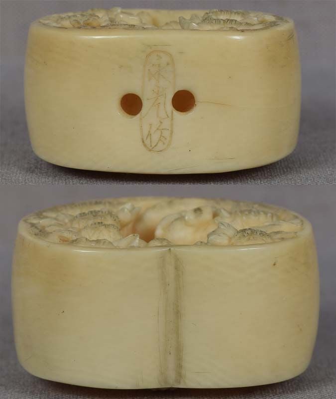 19c netsuke SHISHI FAMILY & peony by NAGAMITSU - 6