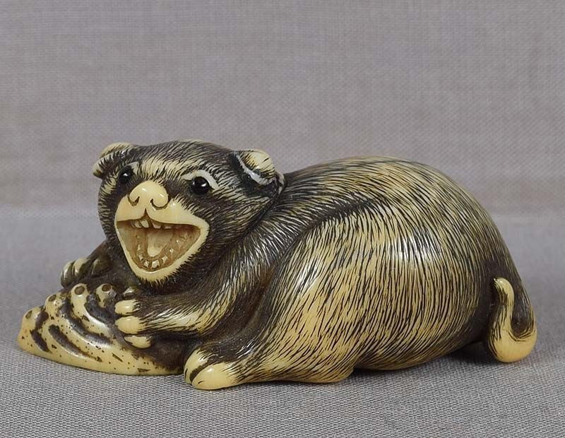 18c Kyoto netsuke PUPPY with abalone: Late 18th to early 19th century Kyoto school netsuke of a puppy wearing a cloth collar, playing with an abalone shell. Strong early piece with amazingly lifelike facial expression and wonderful fur