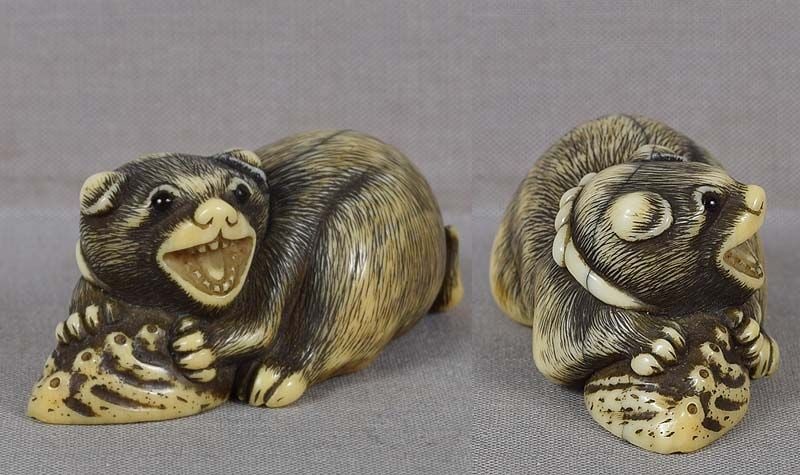 18c Kyoto netsuke PUPPY with abalone - 3