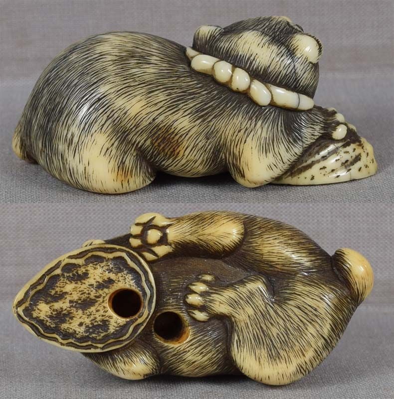 18c Kyoto netsuke PUPPY with abalone - 4