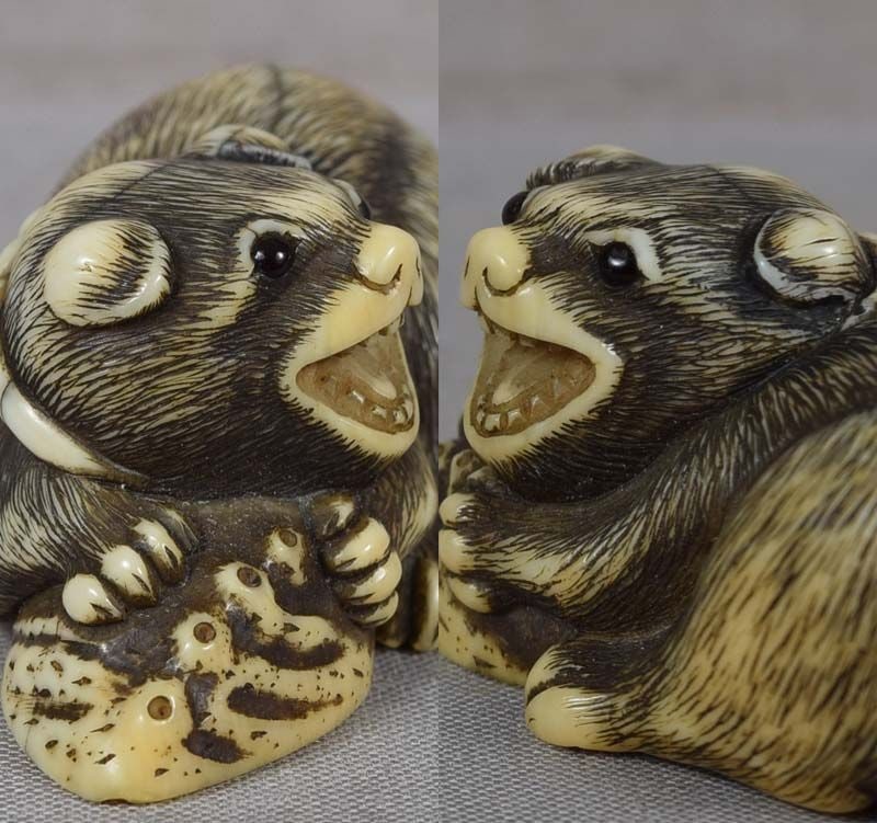 18c Kyoto netsuke PUPPY with abalone - 5