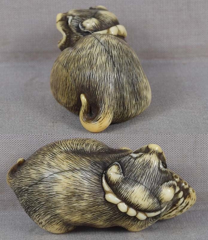18c Kyoto netsuke PUPPY with abalone - 6
