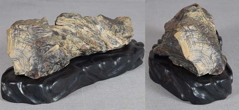 19c Chinese SCHOLAR’S ROCK / brush rest PETRIFIED WOOD ebony stand - 3