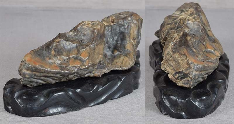 19c Chinese SCHOLAR’S ROCK / brush rest PETRIFIED WOOD ebony stand - 4