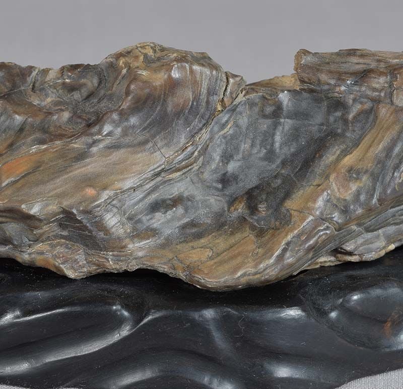 19c Chinese SCHOLAR’S ROCK / brush rest PETRIFIED WOOD ebony stand - 6