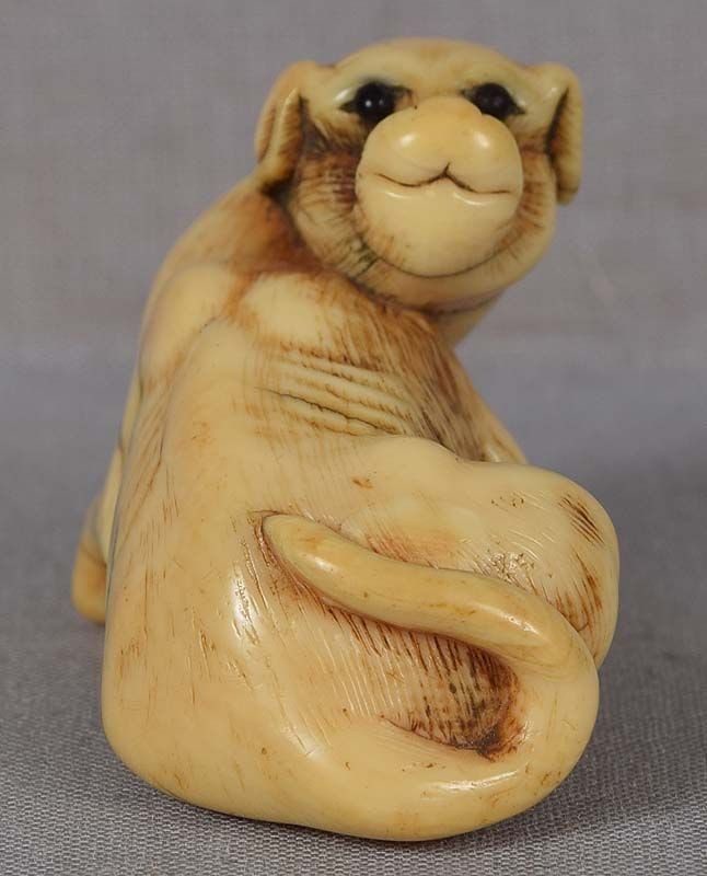 18c netsuke DOG with ball: 18th century netsuke of a lying dog with the front part of its body resting on a squished cloth ball. Superb early piece, powerful carving, wonderful face with large horn inlaid eyes, great depiction
