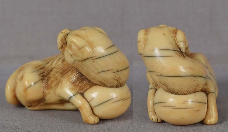 18c netsuke DOG with ball - 5