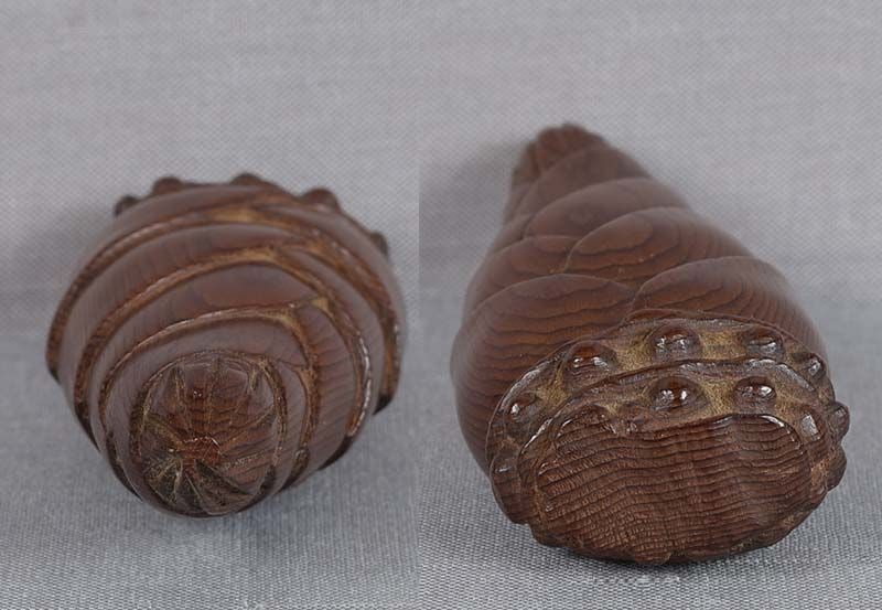 Meiji / Taisho netsuke BAMBOO SHOOT signed / inscribed - 4