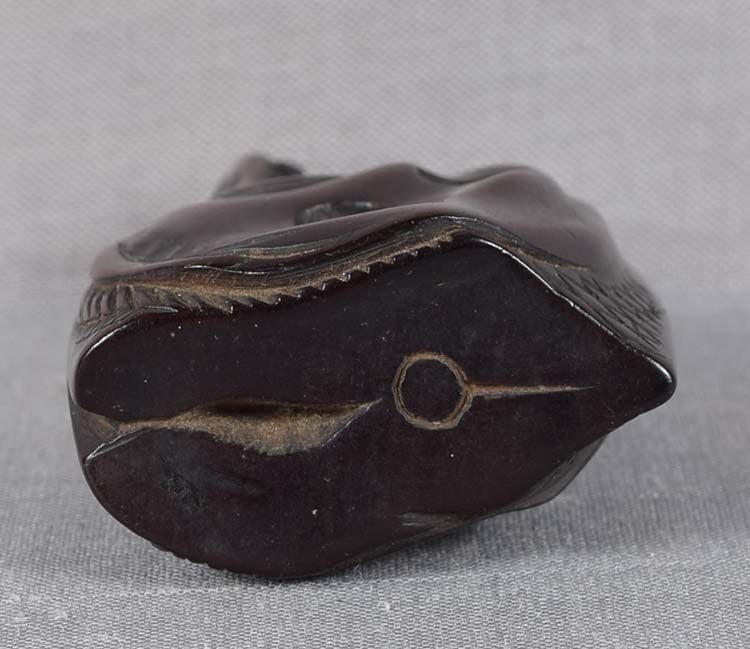 19c netsuke DRIED SALMON HEAD - 4