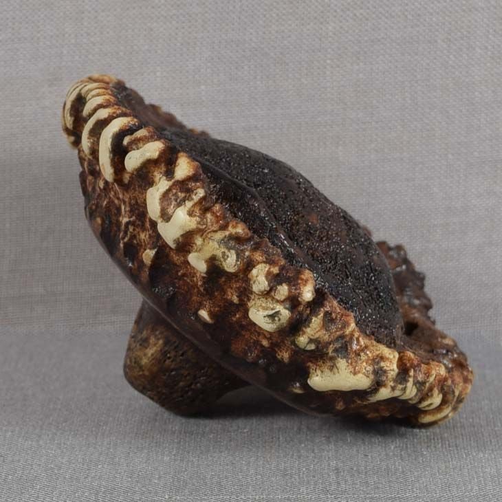 19c netsuke STAGHORN CORONET - 4