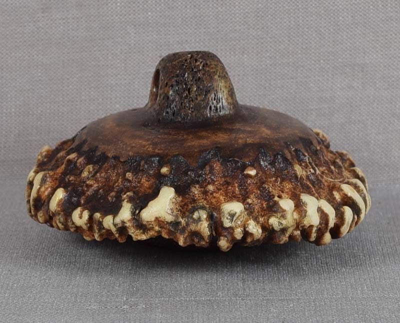19c netsuke STAGHORN CORONET - 5