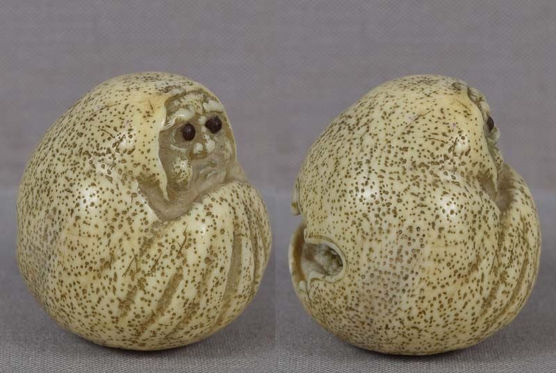 19c netsuke DARUMA doll with landscape inside - 3