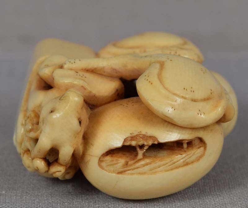 19c netsuke SEAL FUNGUS GOURD by GYOKUHO - 5