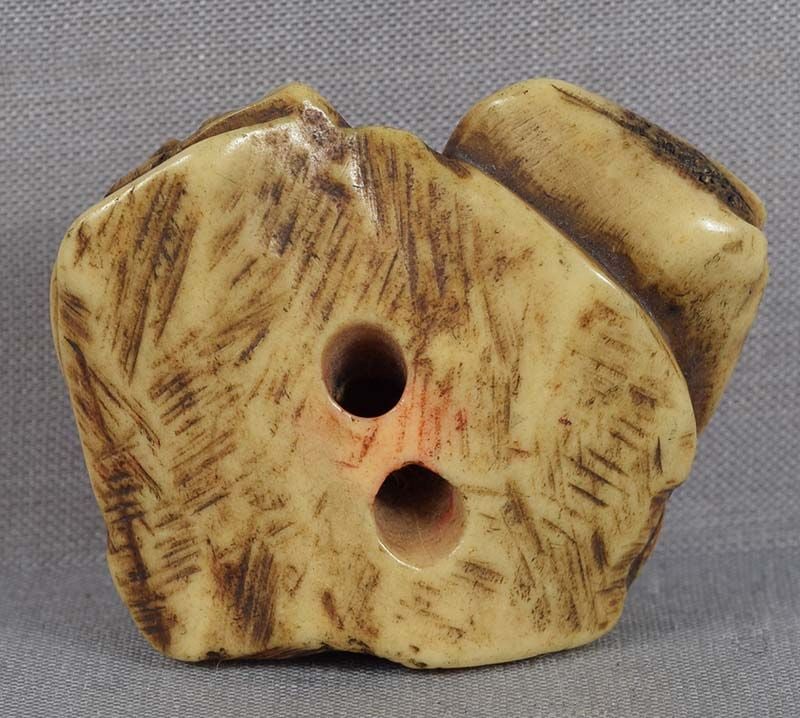 Early 19c staghorn netsuke VARIOUS SEASHELLS - 3