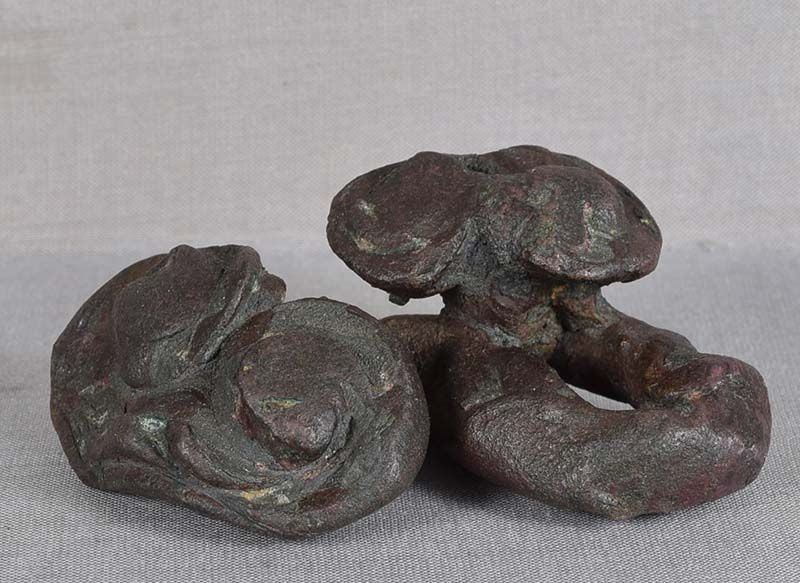 19c Chinese bronze scholar BRUSH REST / WEIGHT Immortality FUNGUS (1 of 6)