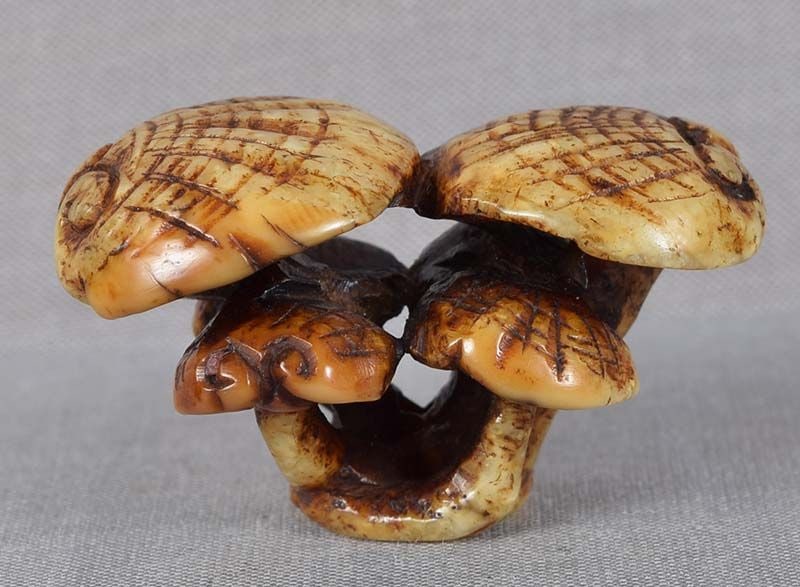 19c marine netsuke Asakusa school FUNGUS OF IMMORTALITY: 19th century marine (walrus tusk) Asakusa school netsuke carved as a group of four Fungus of Immortality. Wonderful realistic carving, beautiful staining, superb patina, very pleasant to handle. Lengt
