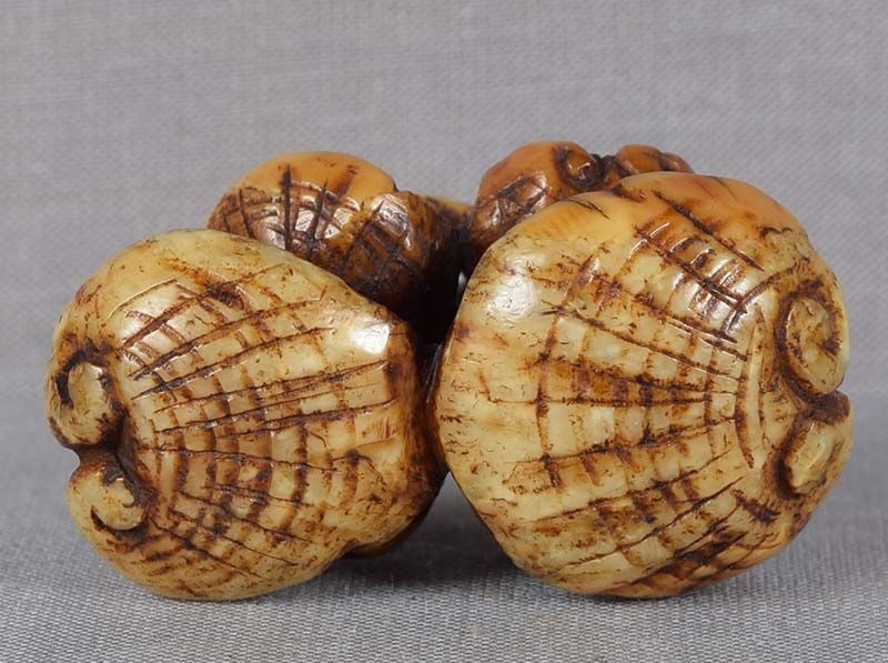 19c marine netsuke Asakusa school FUNGUS OF IMMORTALITY - 2