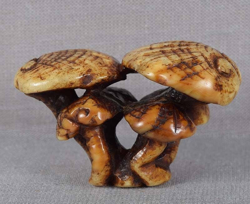 19c marine netsuke Asakusa school FUNGUS OF IMMORTALITY - 3